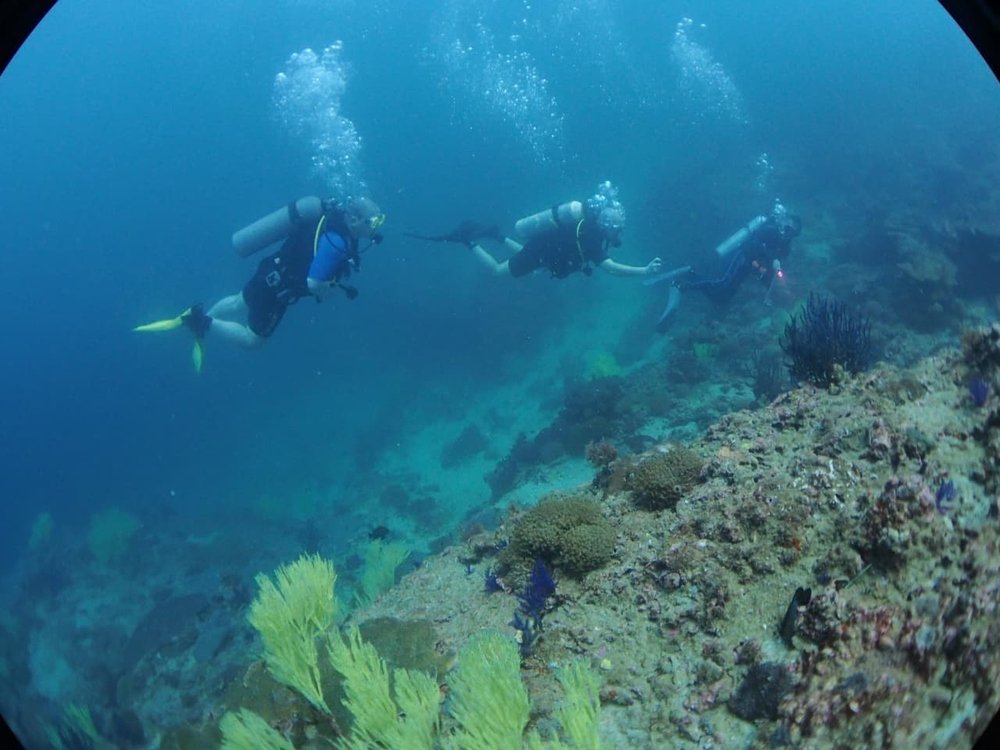 مركز استكشاف مسندم للغوص”.. مشروع عُماني يحوّل أعماق البحر إلى وجهة سياحية عالمية