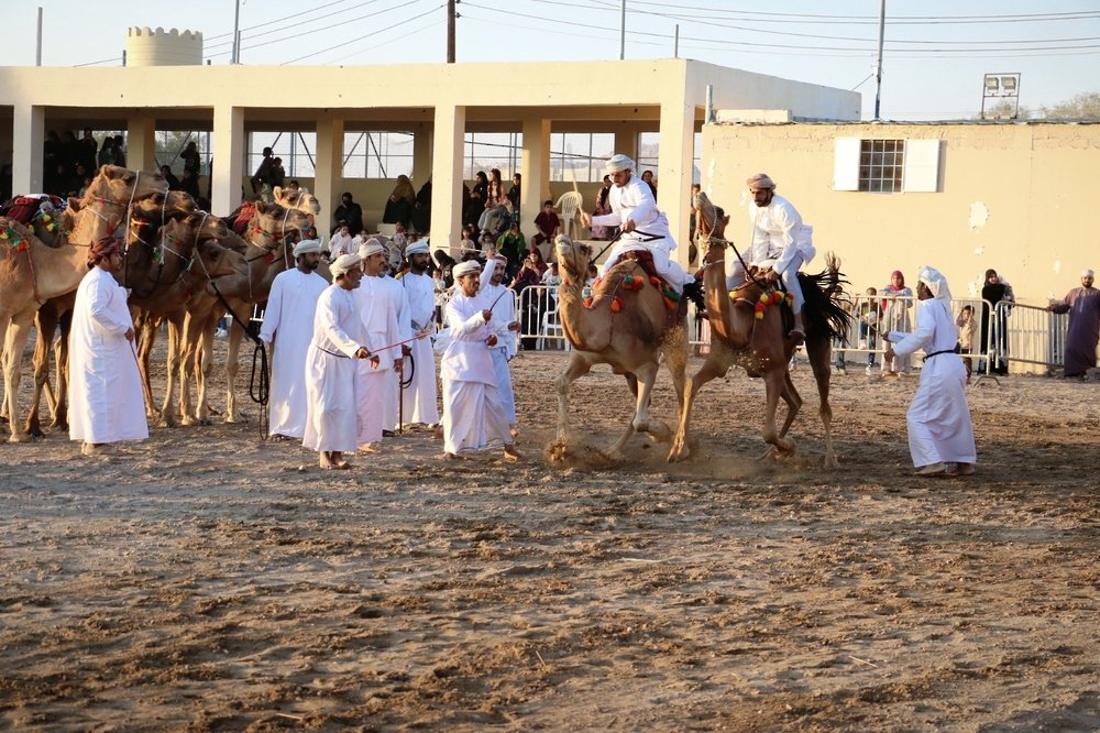15 ألف زائر لفعاليات “شتاء منح” المتنوعة