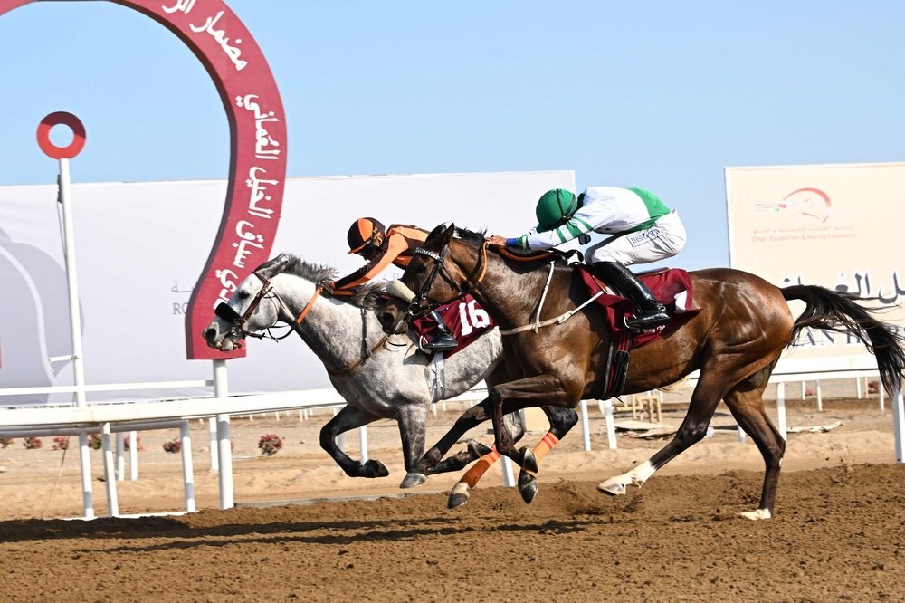 8 أشواط في السباق الـ 11 لسباقات الخيل بمضمار الرحبة